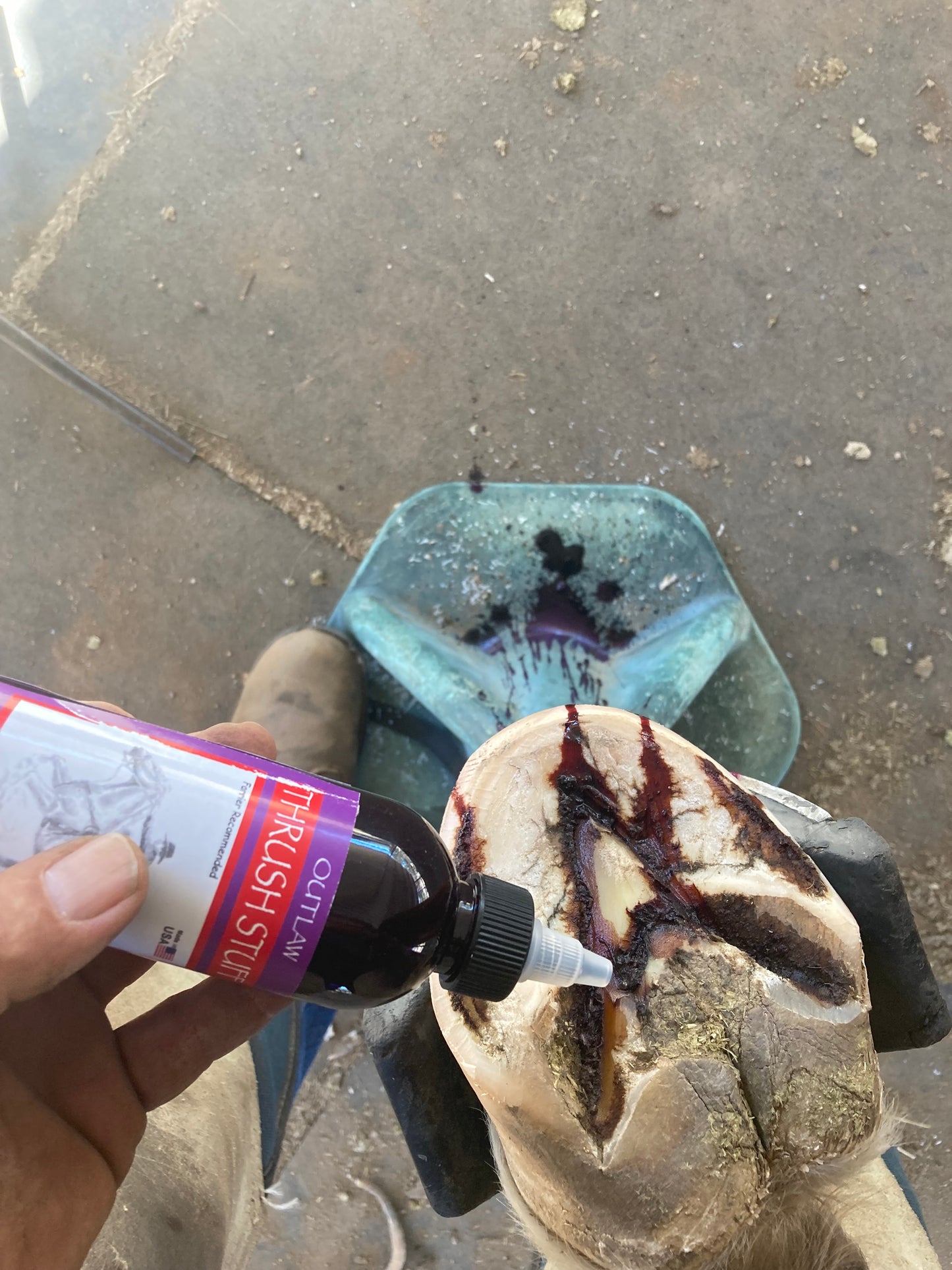 Outlaw Thrush Stuff Thrush Treatment for Horses