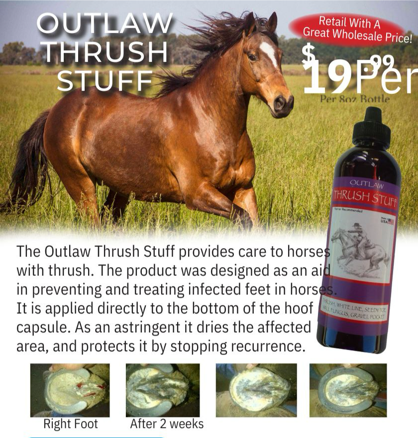 Outlaw Thrush Stuff Thrush Treatment for Horses