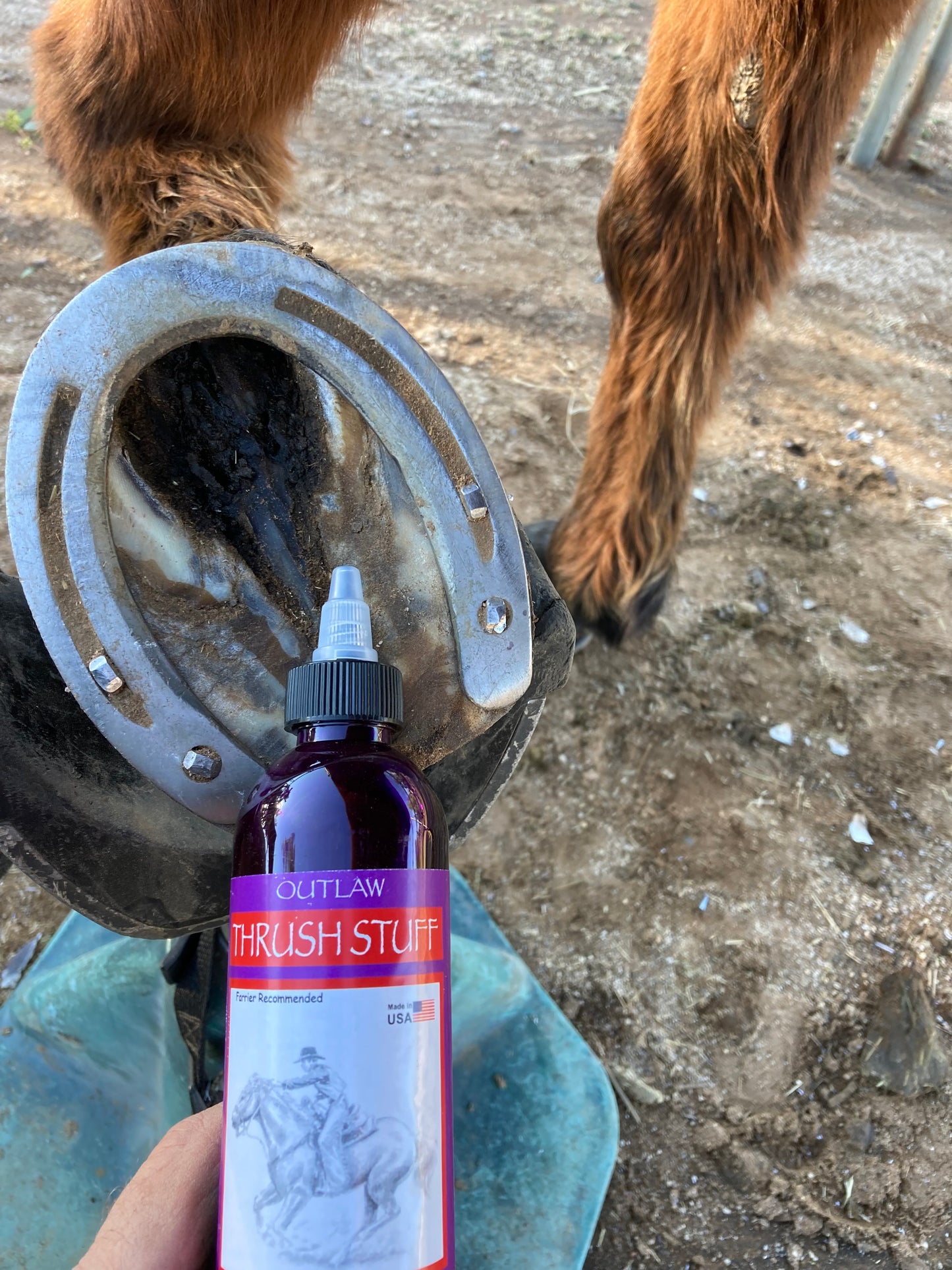 Outlaw Thrush Stuff Thrush Treatment for Horses