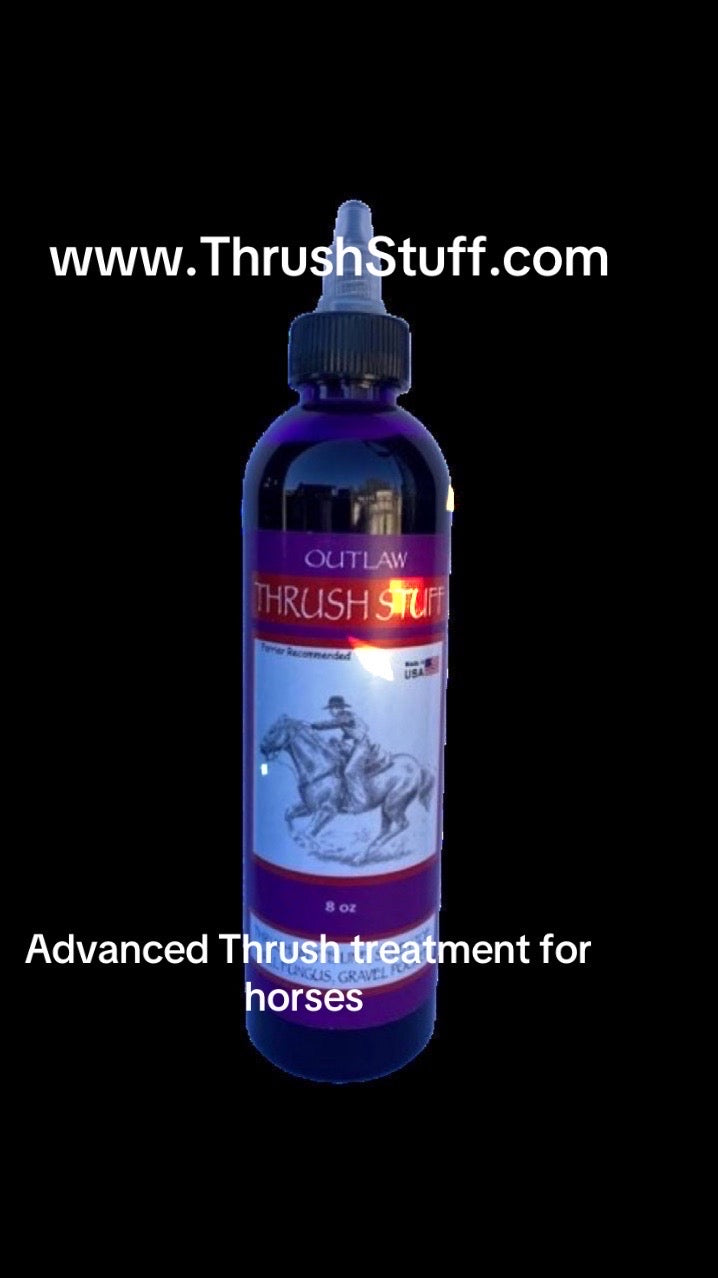 Outlaw Thrush Stuff Thrush Treatment for Horses
